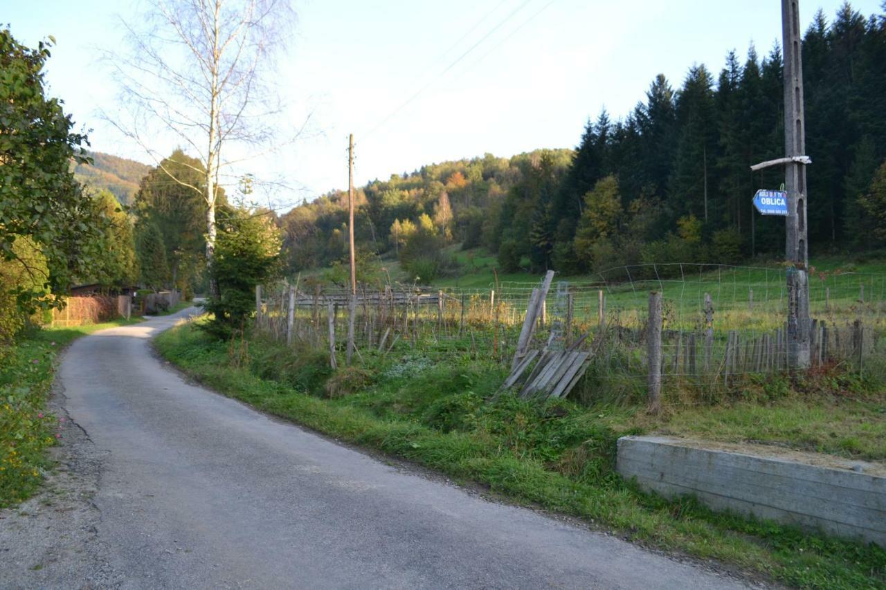 Agroturystyka Oblica Zawoja Kültér fotó